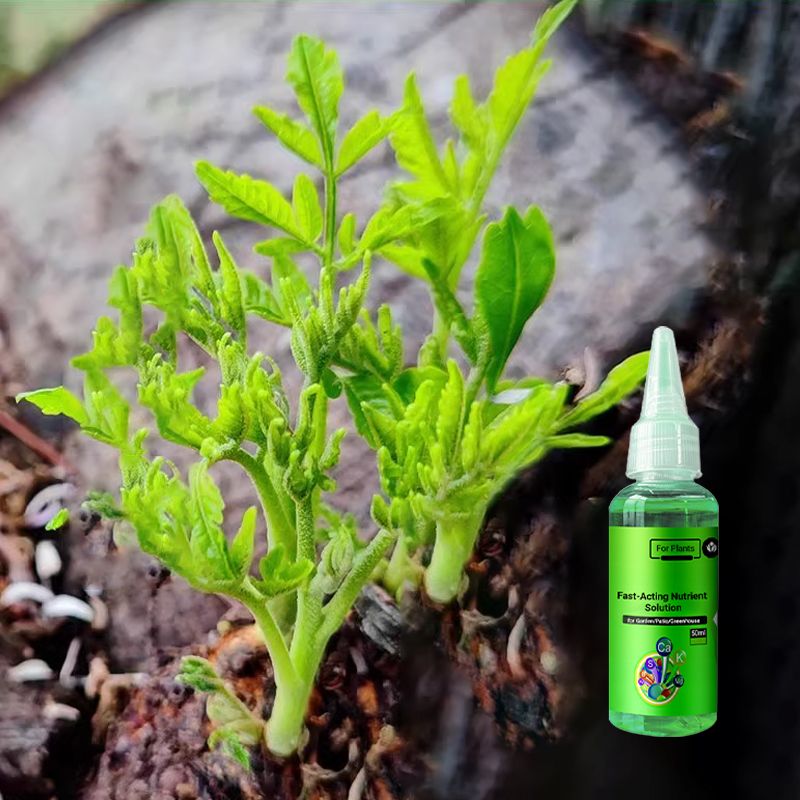 🌿 【Kup 3, otrzymaj 3 za darmo】【Made for EU Gardeners】 Szybko działający roztwór składników odżywczych dla roślin - uniwersalny środek ukorzeniający dla wszystkich roślin (50% zniżki)