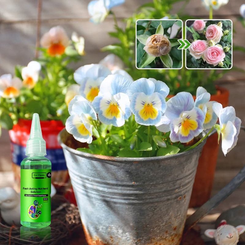 🌿 【Kup 3, otrzymaj 3 za darmo】【Made for EU Gardeners】 Szybko działający roztwór składników odżywczych dla roślin - uniwersalny środek ukorzeniający dla wszystkich roślin (50% zniżki)