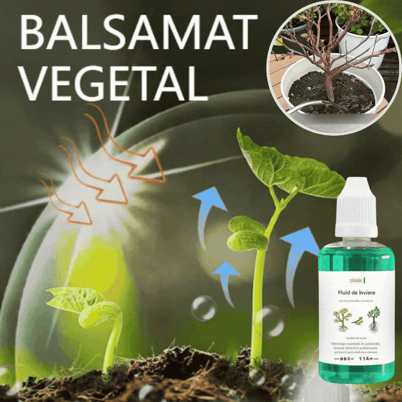💥【Kup 1, otrzymaj 2 gratis】🌱🌱🌱 Roztwór odżywczy, który wspomaga wzrost roślin --3887102