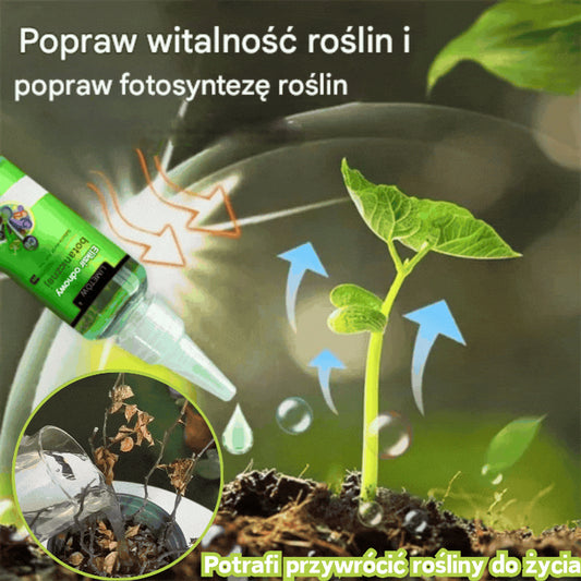 🌿 【Kup 3, otrzymaj 3 za darmo】【Made for EU Gardeners】 Szybko działający roztwór składników odżywczych dla roślin - uniwersalny środek ukorzeniający dla wszystkich roślin (50% zniżki)