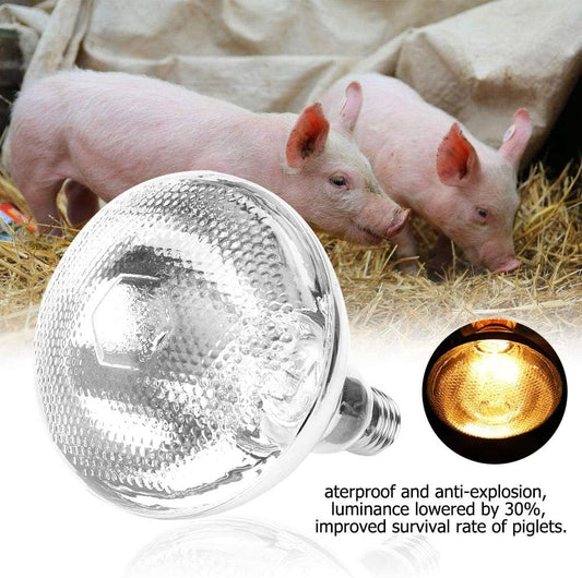🌈【Kup 1, a otrzymasz 1 za darmo】Inteligentna lampa grzewcza o stałej temperaturze dla zwierząt domowych w celach hodowlanych-3907736