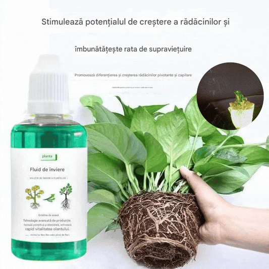 💥【Kup 1, otrzymaj 2 gratis】🌱🌱🌱 Roztwór odżywczy, który wspomaga wzrost roślin --3887102