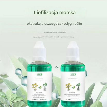 💥【Kup 1, otrzymaj 2 gratis】🌱🌱🌱 Roztwór odżywczy, który wspomaga wzrost roślin --3887102